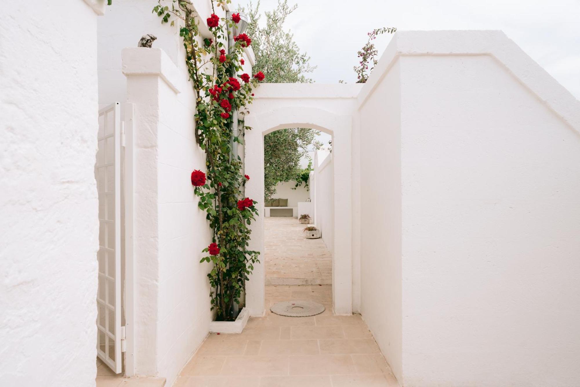 Oltre Gli Ulivi Bed and Breakfast Ostuni Εξωτερικό φωτογραφία