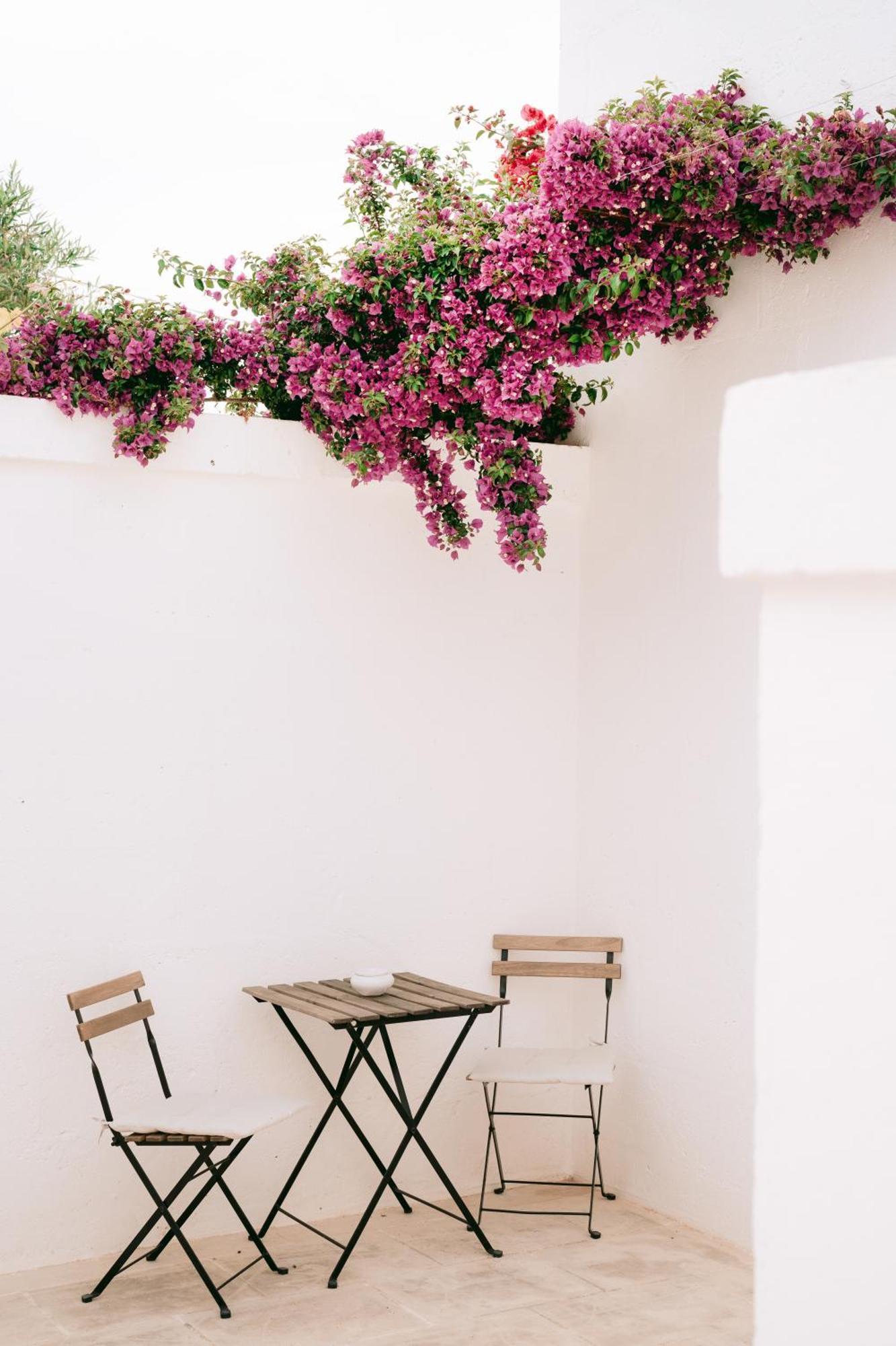 Oltre Gli Ulivi Bed and Breakfast Ostuni Εξωτερικό φωτογραφία