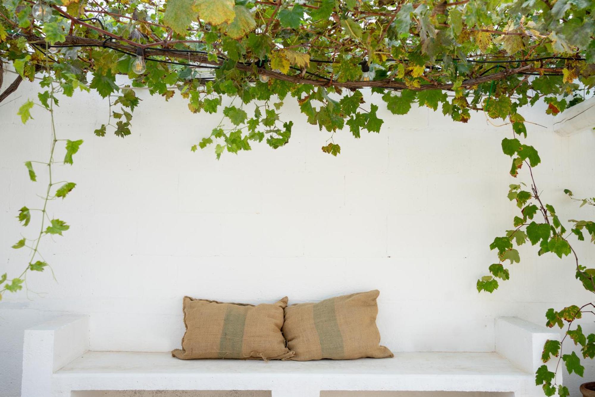 Oltre Gli Ulivi Bed and Breakfast Ostuni Εξωτερικό φωτογραφία