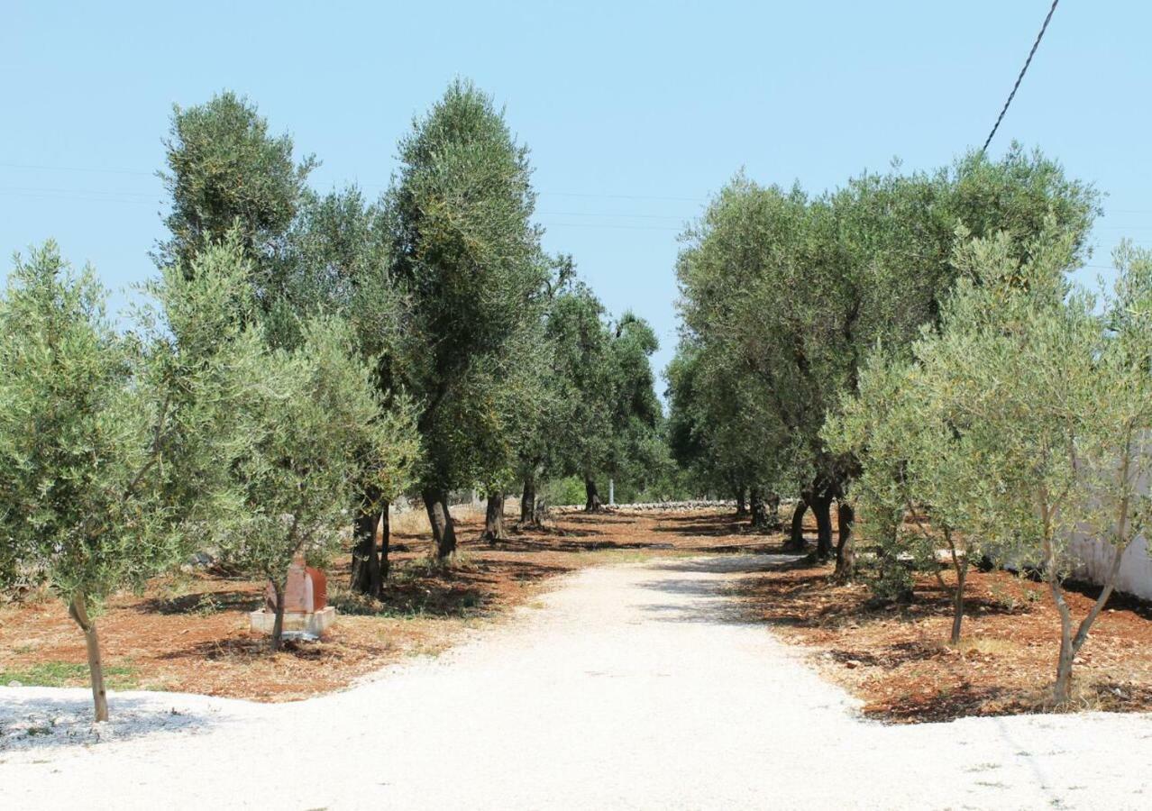 Oltre Gli Ulivi Bed and Breakfast Ostuni Εξωτερικό φωτογραφία